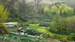 Jardin Berchigranges Mioulane NewsJardinTV Jardimiou P1130850