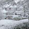 Neige Jardin Mioulane NewsJardinTV NPM 2607528372