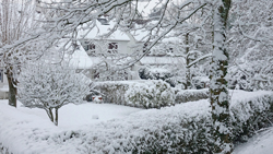 Neige Jardin Mioulane NewsJardinTV NPM 2607528372