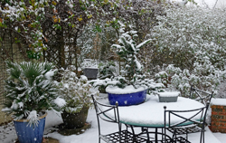 Neige Mioulane NewsJardinTV NPM 2808185216