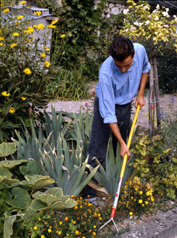 Sarclage Mioulane NewsJardinTV Jardimiou NPM GIP0075891