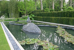 Bassin Jardin Mioulane NewsJardinTV Jardimiou NPM 84972279