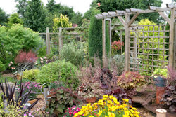 Jardin Pergola Mioulane NewsJardinTV Jardimiou NPM 850308002