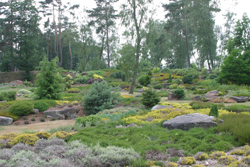 Rocaille Bruyere Mioulane NewsJardinTV Jardimiou NPM 85021093