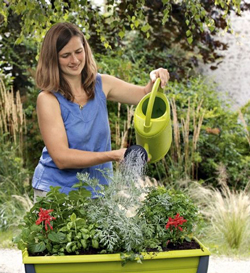 Arrosage Jardiniere Mioulane NewsJardinTV Jardimiou 7454784