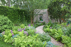 Jardin Ombre Mioulane NewsJardinTV NPM 2507523173