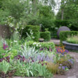 Jardin Vivaces Allee Mioulane NewsJardinTV Jardimiou NPM 850312329