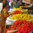 Marche Fleurs Kochi Inde Mioulane NewsJardinTV NPM 2808184483