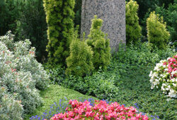 Tombe jardin Mioulane NewsJardinTV Jardimiou 6598547