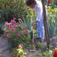 Désherbage Mioulane NewsJardinTV Jardimiou NPM GIP0077437