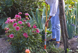 Désherbage Mioulane NewsJardinTV Jardimiou NPM GIP0077437