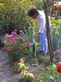 Désherbage Mioulane NewsJardinTV Jardimiou NPM GIP0077437