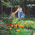 Fdertilisation Engrais Mioulane NewsJardinTV Jardimiou NPM GIP0093980