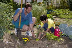 Plantation Potager GNIS
