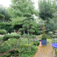 Jardin Terrasse Niwaki Mioulane NewsJardinTV JardimiouXY7S3112