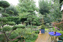 Jardin Terrasse Niwaki Mioulane NewsJardinTV JardimiouXY7S3112
