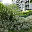 Jardin urbain Mioulane NewsJardinTV NPM 2707522557