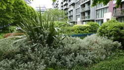 Jardin urbain Mioulane NewsJardinTV NPM 2707522557