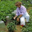 Engrais Potager Mioulane NewsJardinTV Jardimiou NPM GIP0097382