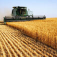 Agriculture Moissonneuse