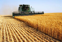 Agriculture Moissonneuse