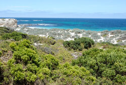 Paysage Australie Kangaroo island Mioulane NewsJardinTV Jardimiou DSC4776