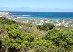 Paysage Australie Kangaroo island Mioulane NewsJardinTV Jardimiou DSC4776
