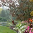 Pluie Jardin Mioulane NewsJardinTV NPM 3008201351