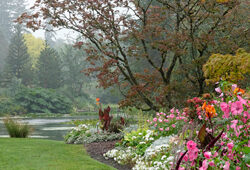Pluie Jardin Mioulane NewsJardinTV NPM 3008201351
