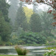 Pluie Jardin Mioulane NewsJardinTV NPM 3008201353