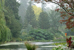 Pluie Jardin Mioulane NewsJardinTV NPM 3008201353