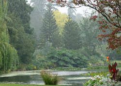 Pluie Jardin Mioulane NewsJardinTV NPM 3008201353