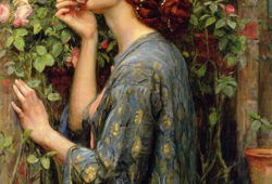 Soul of the rose John William Waterhouse The Soul of the Rose 1903