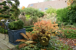 Jardin Automne Mioulane NewsJardinTV Jardimiou NPM 84917253