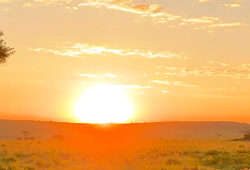 Soleil Mioulane NewsJardinTV NPM 2808188087