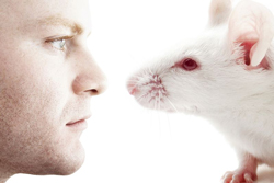 Ecologiste Souris DR