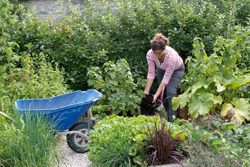 Jardinage Potager Mioulane NewsJardinTV Jardimiou PAMI 1208070018