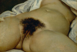 gustave Courbet Origine du Monde