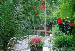 Veranda Phoenix Mioulane NewsJardinTV Jardimiou NPM GIP0100518