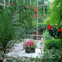 Veranda Phoenix Mioulane NewsJardinTV Jardimiou NPM GIP0100518
