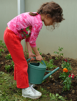 Enfant arrosage massif Miouane NewsJardinTV Jardimiou 44545871