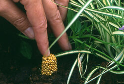 Engrais Mioulane NewsJardinTV Jardimiou NPM GIP0093070