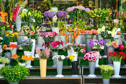 Fleuriste Flora