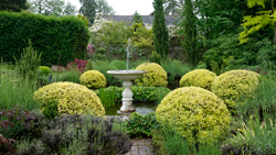 Jardin Mansonniere Mioulane NewsJardinTV Jardimiou DSC6809