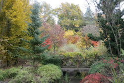 Jardin Petit Bordeaux Mioulane NewsJardinTV Jardimiou XY7S0780