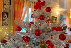 Sapin Noël Glace Mioulane NewsJardinTV Jardimiou IMG 4444