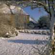 Hiver Jardin Neige Mioulane NewsJardinTV Jardimiou IMG0088