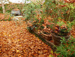 Automne Jardin Mioulane NewsJardinTV NPM 3008205453