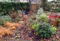 Jardin Hiver Mioulane NewsJardinTV Jardimiou IMG 3864