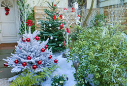 Noel Jardin Mioulane NewsJardinTV NPM 2607524437